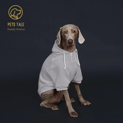 Solid Color Dog Hoodie with Pocket, Leather Patch, Hook and Loop Fastener Collar - Available in 5 Colors