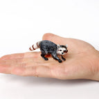 Raccoon-2