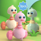 3pcs duck