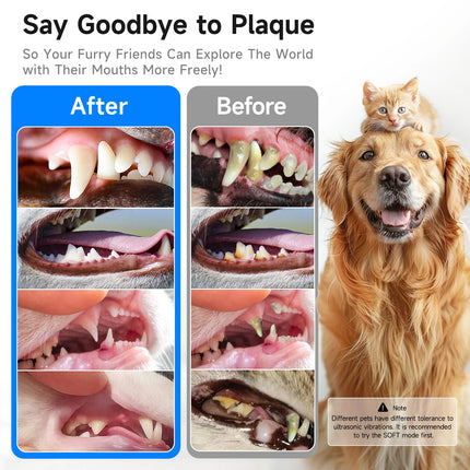 CURVY MOON T5 Pet Use Ultrasonic Tartar Eliminator Tooth Cleaner Dog Cat Dental Scaler Teeth Cleaning Tool for Pet Teeth Health
