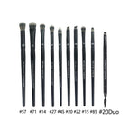 10pcs Eye brushes