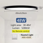 Black-Neutral Light / Poland