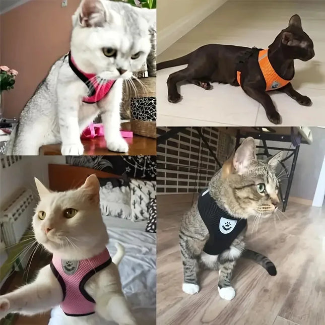 Breathable Mesh Cat Small Dog Harness And Leash Kitten Cat Harnesses Little Dog Puppy Harness For French Bulldog Chihuahua Pug