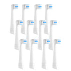white-12pcs