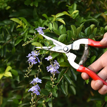 Pruning shears picking shears stainless steel straight blade anti slip handle gardening flowers bonsai orchard popular tools