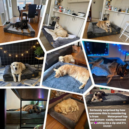 XXL XL Large Calming Dog Bed Orthopedic Memory Foam Sofa Couch Waterproof Removable Cover Plush Mat for Small Medium Large Dogs