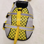 Yellow / 2XL