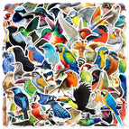 10pcs random