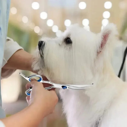 Pet Grooming Scissors with Round Head Safe and Precise Professional-Stainless Steel Dog Hair Shears for Effortless Trimming