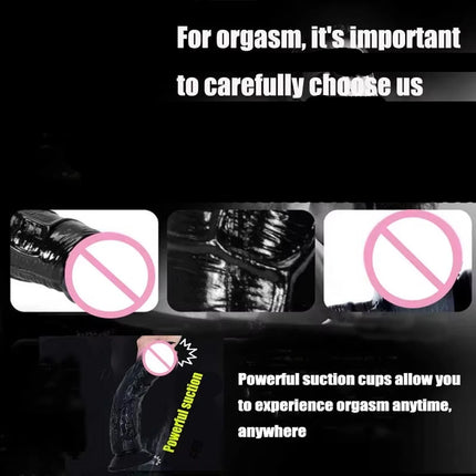 Realistic G-Spot Jelly Dildo Silicone Penis with Suction Cup Butt Plug Anal Toys Sex Toys for Women Female Masturbation Pussy