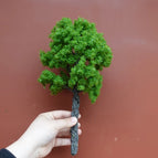 30cm mid green