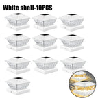 White Shell-10PCS