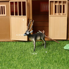 antelope-9