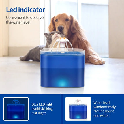 2L Automatic Cat Water Fountain with LED Nightlight, USB Powered Quiet Pump with Filter for Cats and Small Dogs