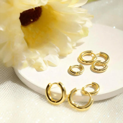 Premium Stainless Steel Ring Stud Earrings 6-piece Set | 10/12/14 Mm Three Sizes | Hypoallergenic Daily Premium Gift