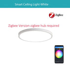 Zigbee Version White