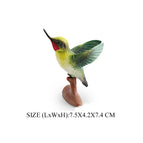 Hummingbird -4