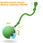 Green Tail Ball / 2026 Version