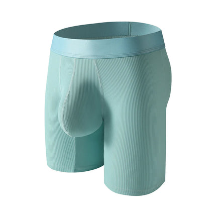 Mens Underwear Boxer Shorts Hombre Soft Nylon Panites Man Breathable U Convex Pouch Extended Underpant Male Trunks Cueca L-XXL