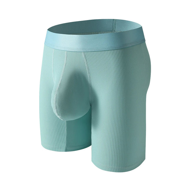 Mens Underwear Boxer Shorts Hombre Soft Nylon Panites Man Breathable U Convex Pouch Extended Underpant Male Trunks Cueca L-XXL
