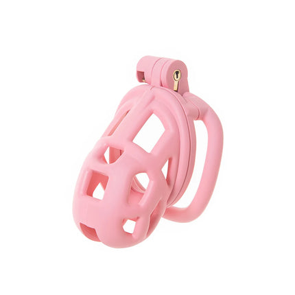 2026 New Chastity Lock Cage SM Flirting Breathable Resin Male Virginity Device Male Penis Lock with 4 Rings
