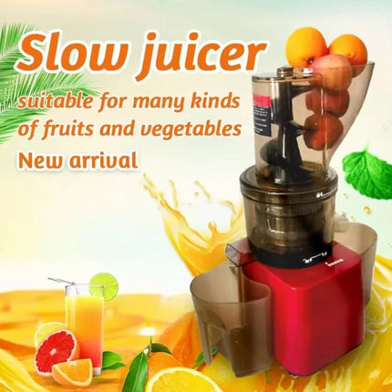 Stainless Steel Fruit Vegetable Juicer Commercial Cold Press Squeezer Extractor Machine Slow Juicer