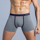 B3-Drak gray / S