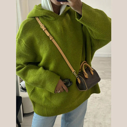 Casual Knitted Women's Sweater Hooded Solid Loose Big Pocket Thicken Lady Sweaters 2026 Spring Fashion Female Street Outwear