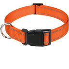 6-Orange / XS(1.5CM)(20-30CM)