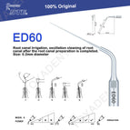 ED60 / China Mainland