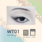 WT01