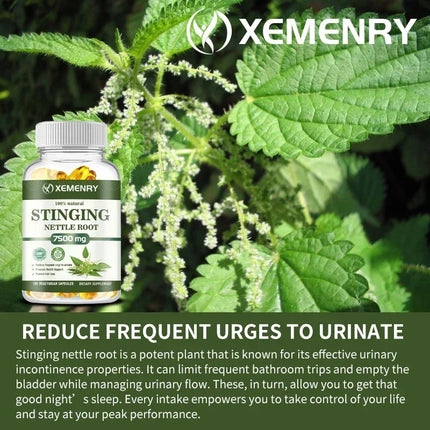 Stinging Nettle Root - Supports Prostate and Urinary Tract Health & Bladder Health, Promotes Overall Well-being