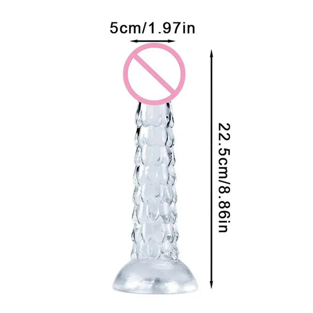 【AN】23cm Dragon Dildo Suction Cup Anal Plug Whip Buttplug Anus Dilator Female Vaginal Masturbator Butt Plug Sex Toys For Women M