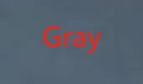 GRAY / XS