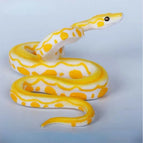 1PC Yellow / One Size