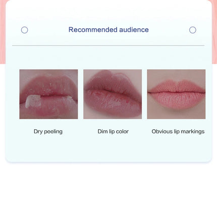 New 4/6/8pcs Moisturizing Lip Balm Sets Lipstick Makeup Natural Plant Base Moisturizer Lip Balm Anti-Cracking Lips Skin Care