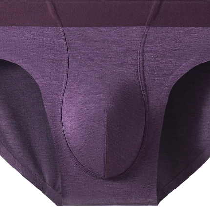 4pcs 2026 New Underwear Man Briefs Bamboo Fiber Quick Dry Summer Men Panties Seamless Comfortable Sexy Male Underwear Panties