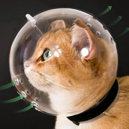 Transparent Breathable Cat Muzzle Anti-Bite Anti Scratch Cat Mask Cover Helmet Cat Grooming Accessories Anti-Licking