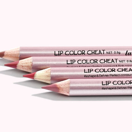 Lakerain Easy To Wear Non-stick Cup Lip Contouring Lip gloss lipstick Pen 4 Colors Lipliner Pencil Waterproof Matte Cosmetics