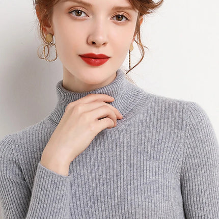 Heliar Women Fall Turtleneck Sweater Knitted Soft Pullovers Cashmere Jumpers Basic Soft Sweaters For Women 2024 Autumn Winter
