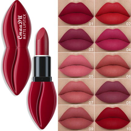 10 Colors Lip Shape Matte Lipstick Velvet Lip Gloss Long Lasting Waterproof Lip Makeup Set For Women Girls Fashion Cosmetics