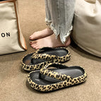 Black / 36-37