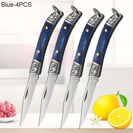 Stainless Steel Mini Pocket Knife Fruit Paring Knife with Non-slip Handle Multifunctional Folding Knife for Household Cooking
