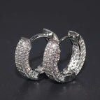 AL2313-Silver 1