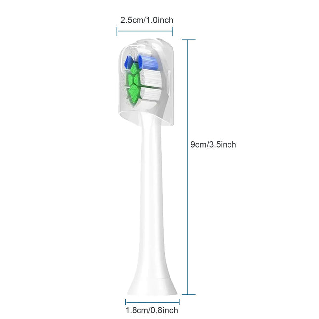 Sonicare Brush Heads 1100 2100 4100 / Têtes Sonicare
