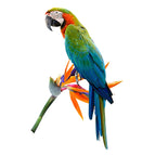 C206-E PVC / 30cm-Longest Side