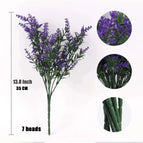 X10 / 5PCS