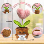 pink heart potted