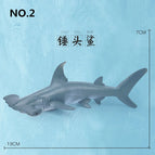 Hammerhead shark