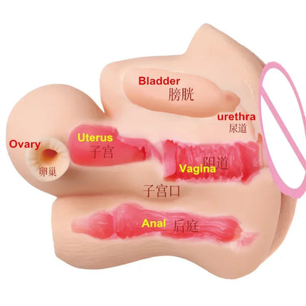 Male Masturbator Masturbation Penis Exercisers Realistic Uterus Inverted Mold with Realistic Hair Electric Peeable Sexy Toys성인용품